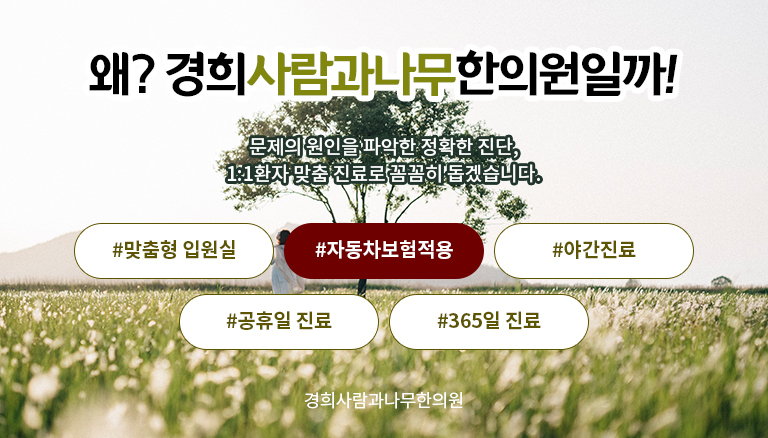 자동차보험적용